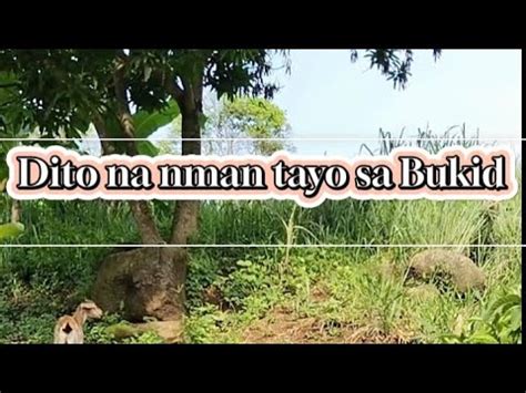 katutan sa bukid|Kantutan tayo doon sa bukid in English with examples .